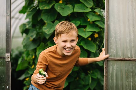 Cute kid teenager boy eating fresh just harvested vegetable cucumber of a countryside farm near by greenhouse and laughingの写真素材