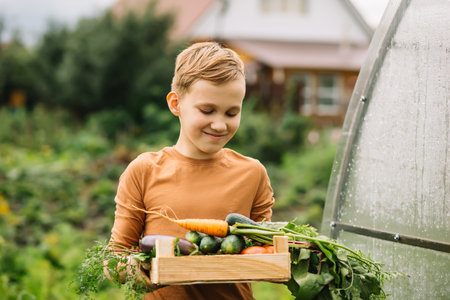 Cute kid boy teenager holding a wooden box with fresh just harvested vegetables of a countryside farmの写真素材