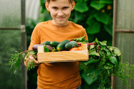 Cute kid boy teenager holding a wooden box with fresh just harvested vegetables of a countryside farmの写真素材