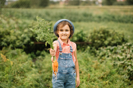Cute kid girl hold bunch of fresh just harvested vegetables carrots of a countryside farmの写真素材