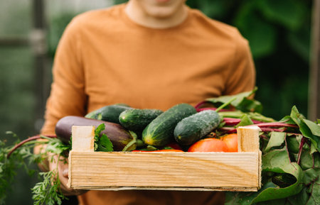 Cute kid boy teenager holding a wooden box with fresh just harvested vegetables of a countryside farmの写真素材