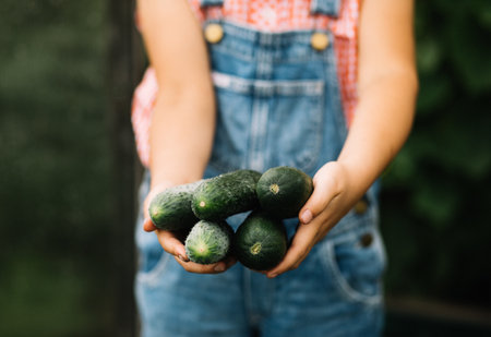 Cute kid girl hold fresh just harvested vegetables cucumbers of a countryside farmの写真素材
