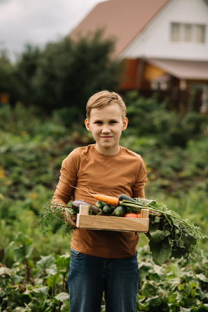 Cute kid boy teenager holding a wooden box with fresh just harvested vegetables of a countryside farmの写真素材