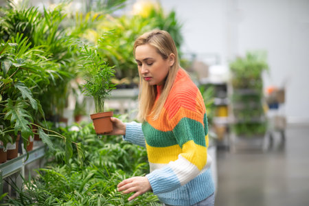 Woman at a garden center buying home plant.の写真素材