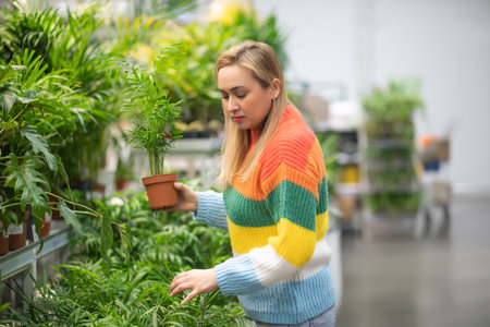 Woman at a garden center buying home plant.の写真素材