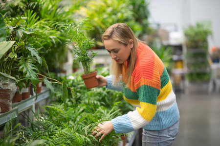Woman at a garden center buying home plant.の写真素材