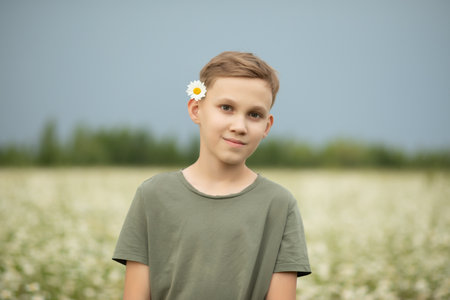 Child kid boy at chamomile field picking flowers. Summer season.の写真素材