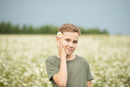 Child kid teen boy at chamomile field picking flowers. Summer season.の写真素材