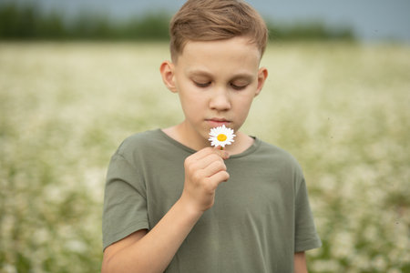 Child kid teen boy at chamomile field picking and smells flowers.の写真素材