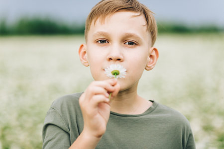 Child kid teen boy at chamomile field picking and smells flowers.の写真素材