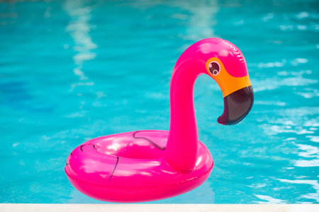 Pink flamingo inflatable ring in sunny pool.の写真素材