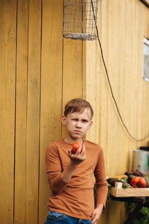 Cute kid teenager boy holding fresh just harvested vegetable tomato of a countryside farm.の写真素材