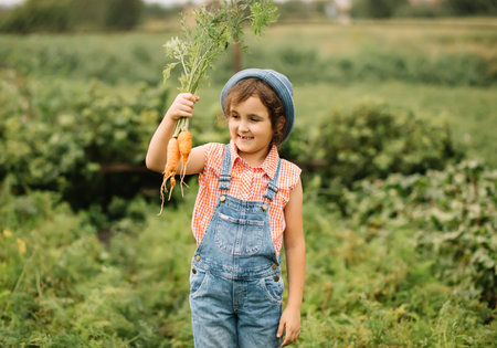 Cute kid girl hold bunch of fresh just harvested vegetables carrots of a countryside farmの写真素材