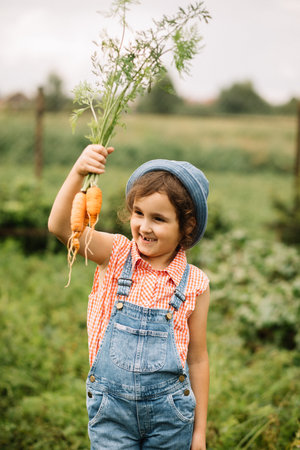 Cute kid girl hold bunch of fresh just harvested vegetables carrots of a countryside farmの写真素材