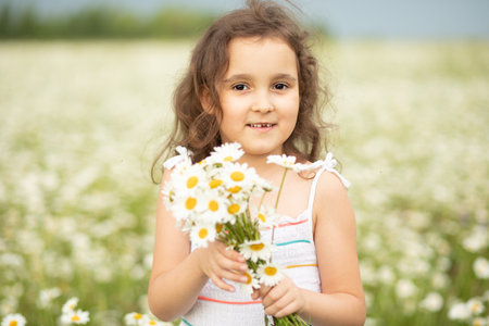 Cute little child girl at camomile field picking flowers.の写真素材