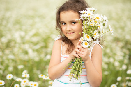 Cute little child girl at camomile field picking flowers.の写真素材