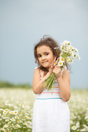 Cute little child girl at camomile field picking flowers.の写真素材