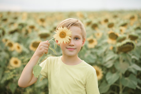 Smiling cute kid boy teen standing on a field and holding sunflower. Summer holiday. Happy childhoodの写真素材