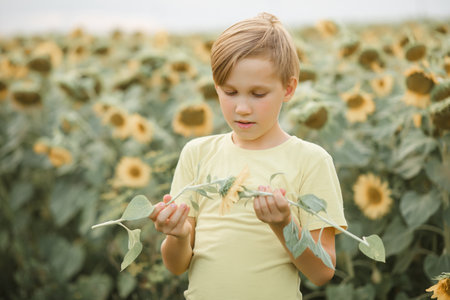 Smiling cute kid boy standing on a field and holding sunflowers. Summer holiday. Happy childhoodの写真素材