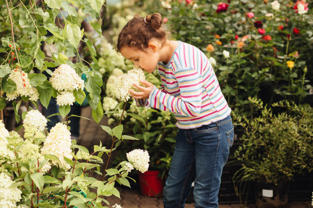 Cute little girl smell and buying flowers in a pot. Choosing plants in a local garden centerの写真素材
