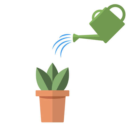simple plants with green leaves in the pot. Vector illustrationのイラスト素材