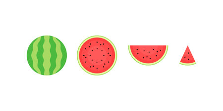 Flat juicy watermelon cut into pieces on white background. Vector illustrationのイラスト素材