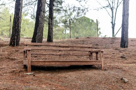 Wooden bench in the park