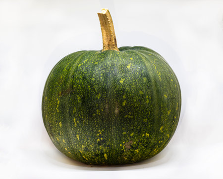 a naturally grown organic pumpkinの写真素材