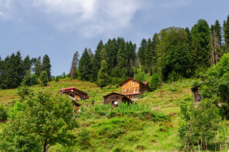 Wooden houses on green mountain