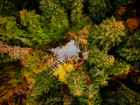 A view above the trees of a forrest to a lake with blue waterの写真素材