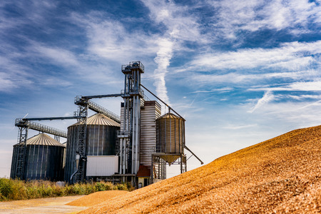 Agriculture background Modern silos for storing cornd and grain harvestの写真素材