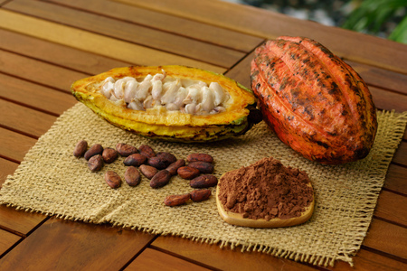 Raw cocoa fruit, cacao beans and powder on wooden tableの写真素材