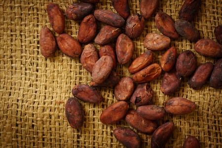 Cacao beans on burlap backgroundの写真素材