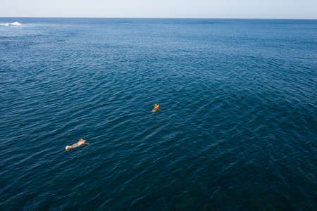 Aerial view of surfers in tropical ocean waiting for waves. Bali, Indonesiaの写真素材