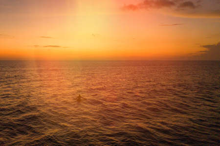 Surfer silhouette into the sea waves at sunrise