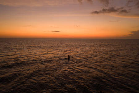 Surfer silhouette into the ocean waves at sunrise. Baliの写真素材