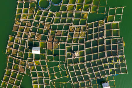 Lake fish farm. Bali, Indonesia. Top viewの写真素材