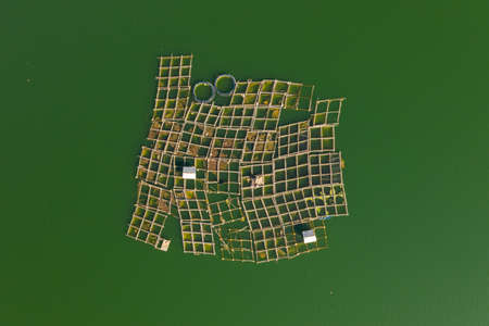 Lake fish farm. Bali, Indonesia. Top viewの写真素材