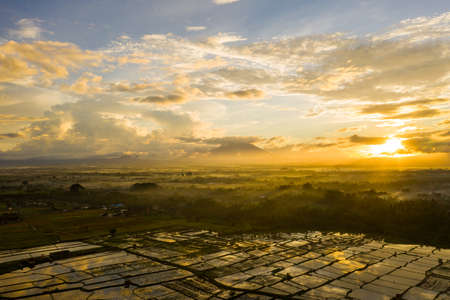 Sunrise landscape on the Bali island, Ubud, view of mount Agungの写真素材
