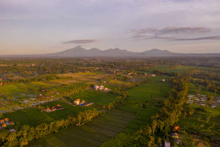 Sunrise landscape on Bali island. View of mountains, Ubud village, rice fields.の写真素材