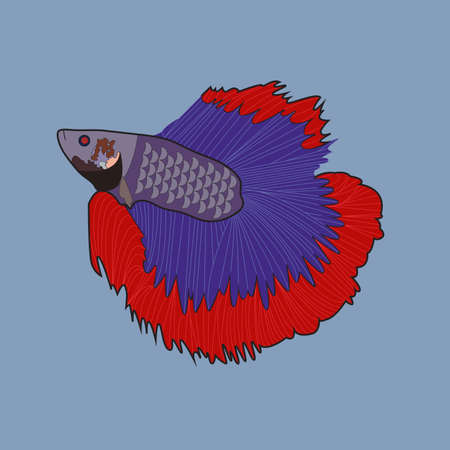 guppy fish illustrator vector graphics perceiving your own mascotのイラスト素材