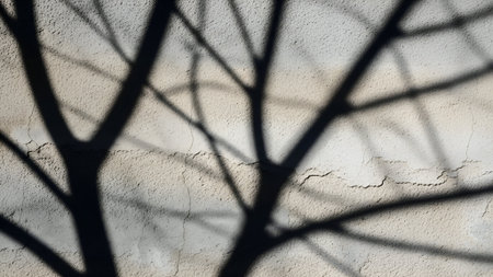 Abstract shadow play of bare tree limbs on a textured, pale surface, evoking a sense of quiet contemplation and natural form.の素材