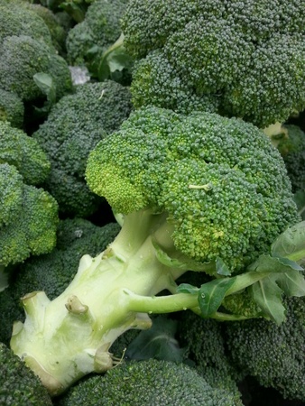 Green is better than othersの素材