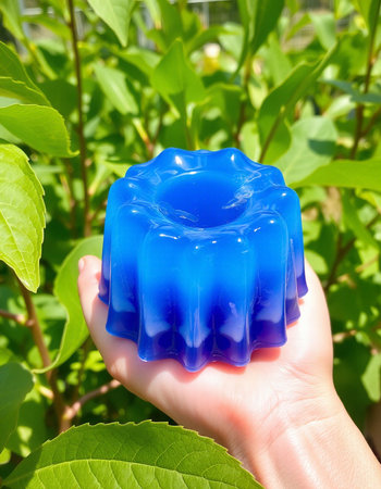 Blue jelly in hand on a background of green leaves in the gardenの写真素材