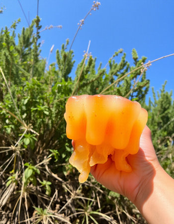 Orange wax candle in hand against the background of green grass and blue sky