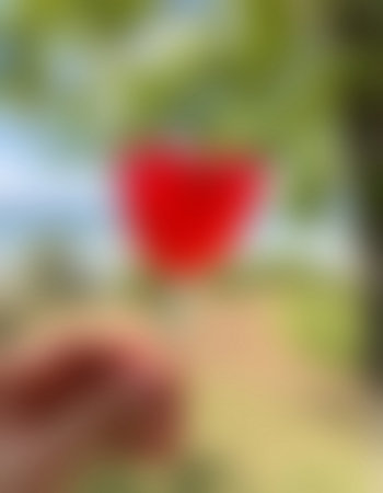blurred background, red tulip in the garden, blur backgroundの写真素材