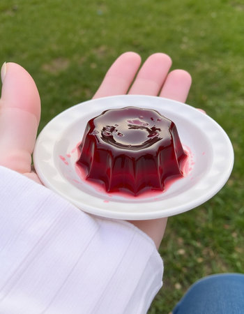 Woman hands holding a plate with a blueberry jelly on the grass