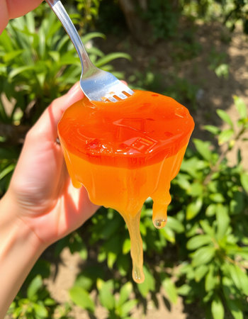 Orange jelly with a fork in the hands of a girl on natureの写真素材