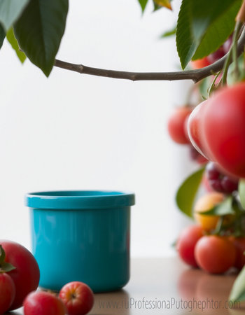 Cherry and tomato in a blue pot on a white background.の写真素材