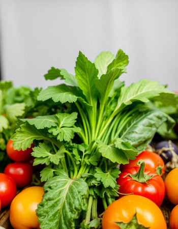 Variety of fresh vegetables in a basket. Healthy food concept.の写真素材